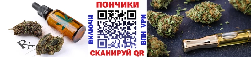 Купить закладки  Злынка  Canna-Cookies конопля 