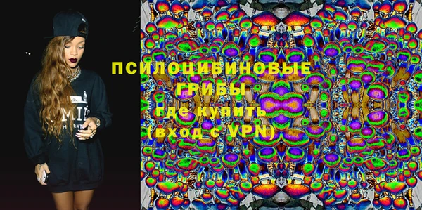 бутират Каменка
