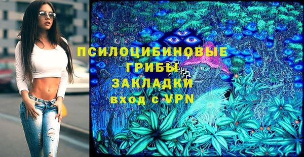 бутират Каменка