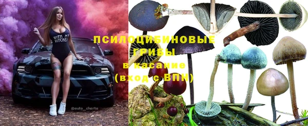 бутират Каменка