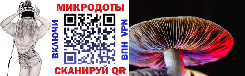 Псилоцибиновые грибы GOLDEN TEACHER  Купить где  Злынка 