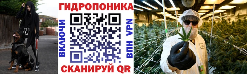Бошки марихуана планчик  Купить  Злынка 